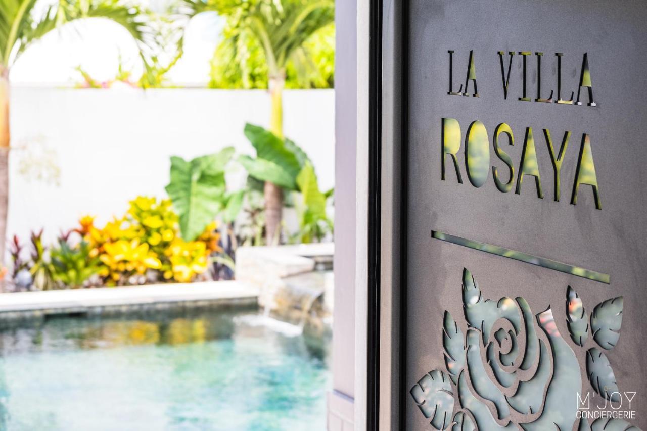 La Villa Rosaya - Piscine & Jacuzzi سانت بيير المظهر الخارجي الصورة