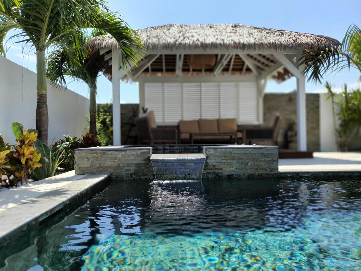 La Villa Rosaya - Piscine & Jacuzzi سانت بيير المظهر الخارجي الصورة